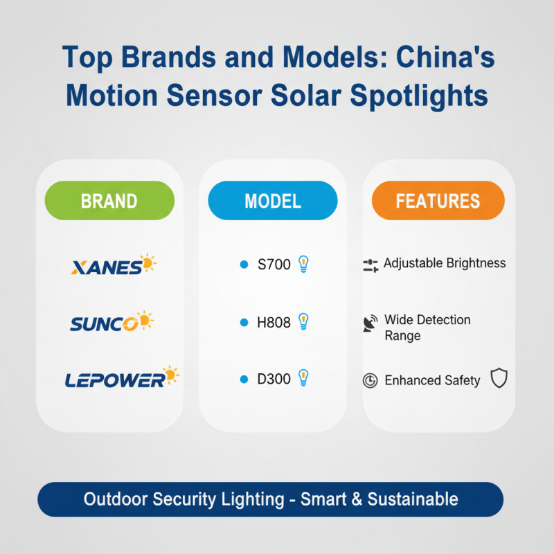 China Best Motion Sensor Spotlight Solar for Outdoor Security Lighting?