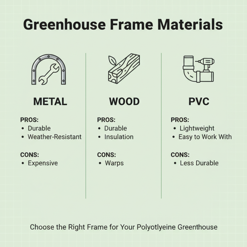10 Essential Tips for Building a Polyethylene Greenhouse?