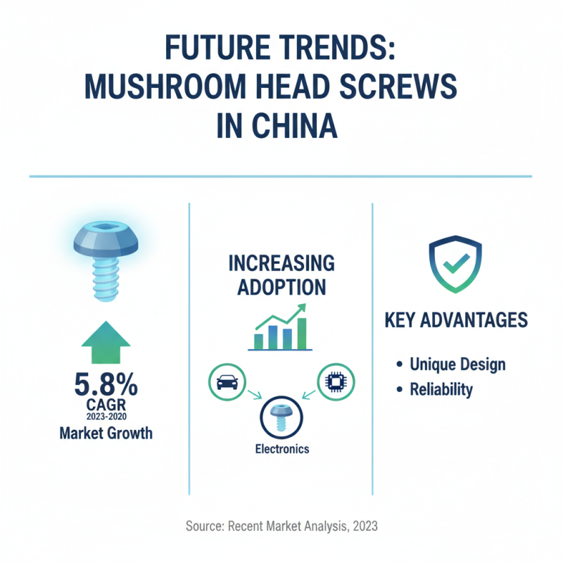 Top 10 Uses of Mushroom Head Screws in China