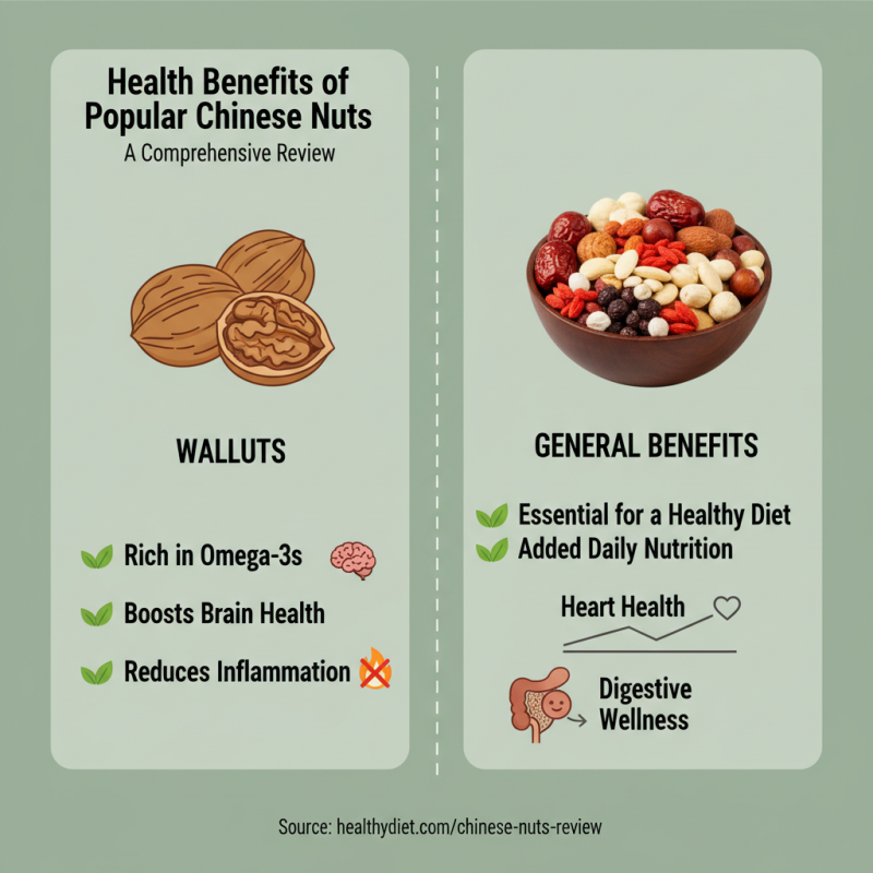 Discover the Best Special Nuts in China Top Choices for Health Benefits?