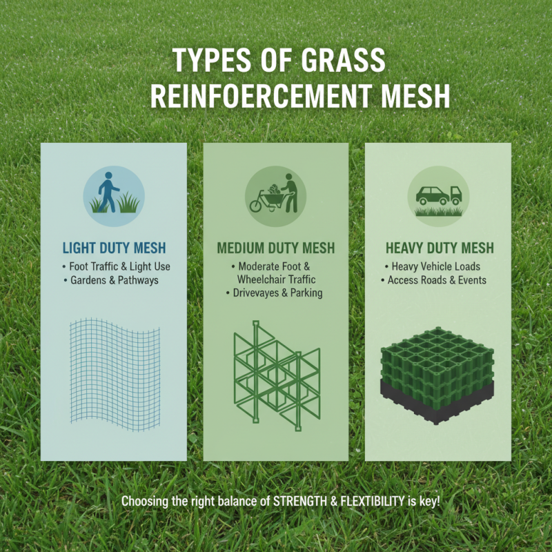 How to Choose the Best Grass Reinforcement Mesh for Your Needs?
