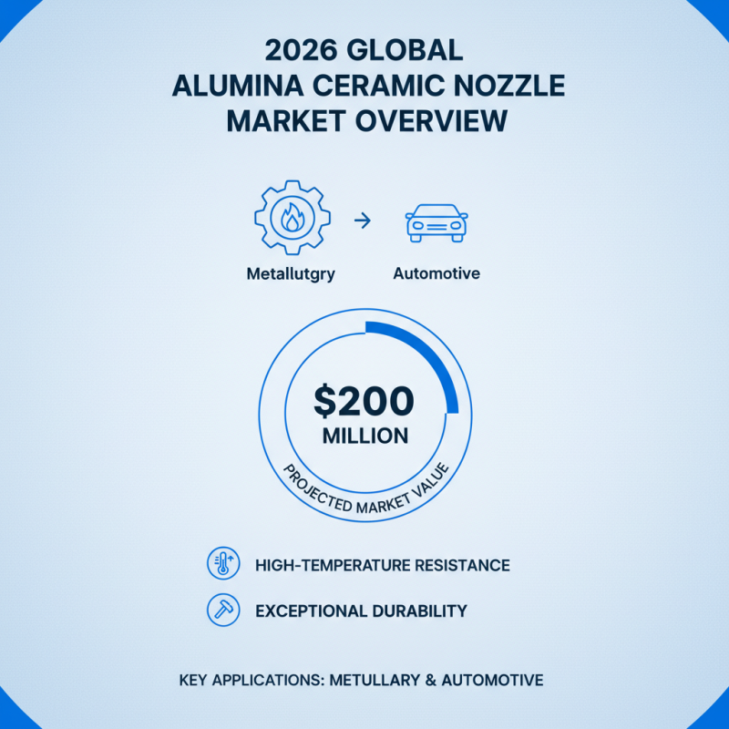 2026 Best Alumina Ceramic Nozzles for Global Buyers?