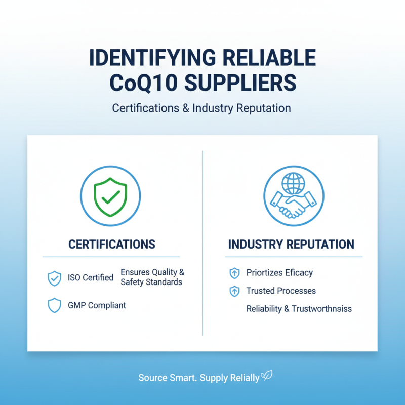 10 Essential Tips for Sourcing Wholesale Coenzyme Q10 Powder?