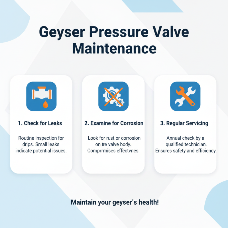 What is a Geyser Pressure Valve and How Does it Work?