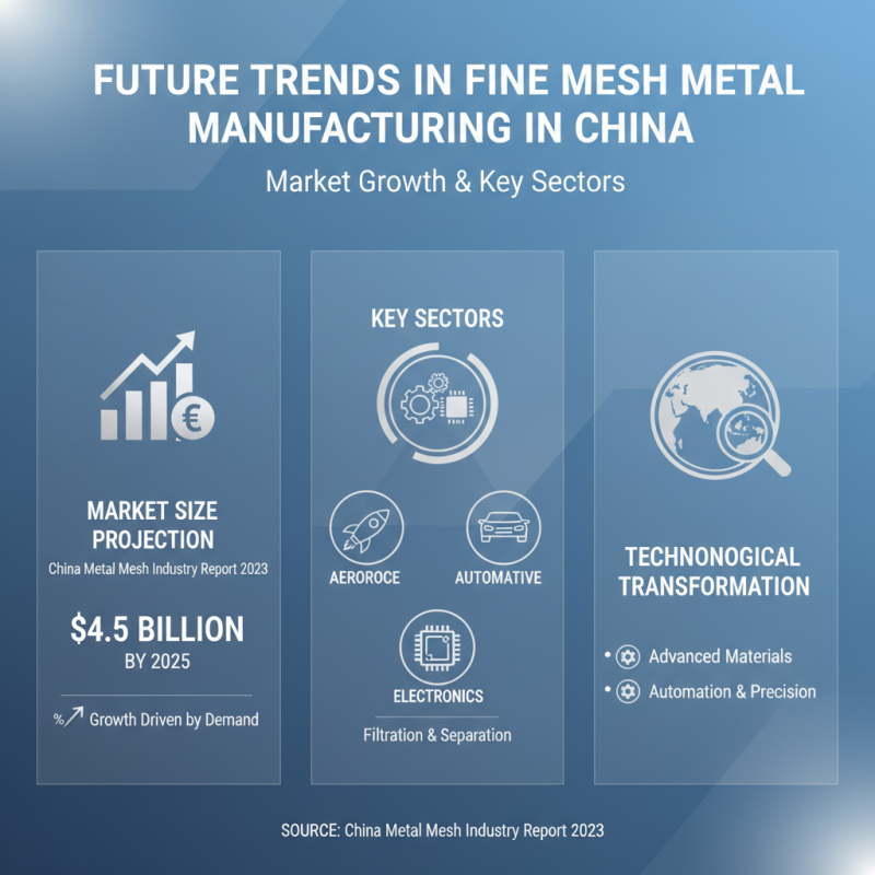 China Top 10 Fine Mesh Metals for Industrial Applications