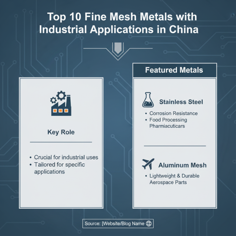 China Top 10 Fine Mesh Metals for Industrial Applications