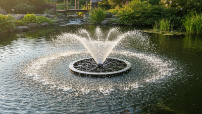 Top Tips for Choosing the Best Floating Pond Aerator?