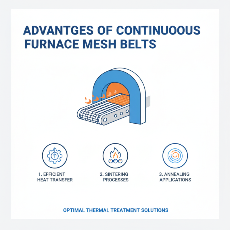 China Top Continuous Furnace Mesh Belt Innovations and Applications?