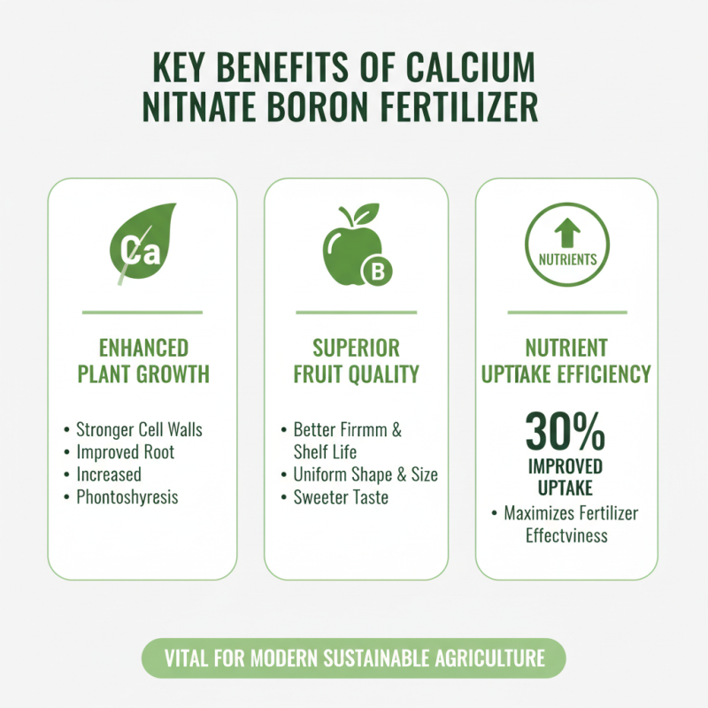 China Best Calcium Nitrate Boron Fertilizer for Global Buyers?