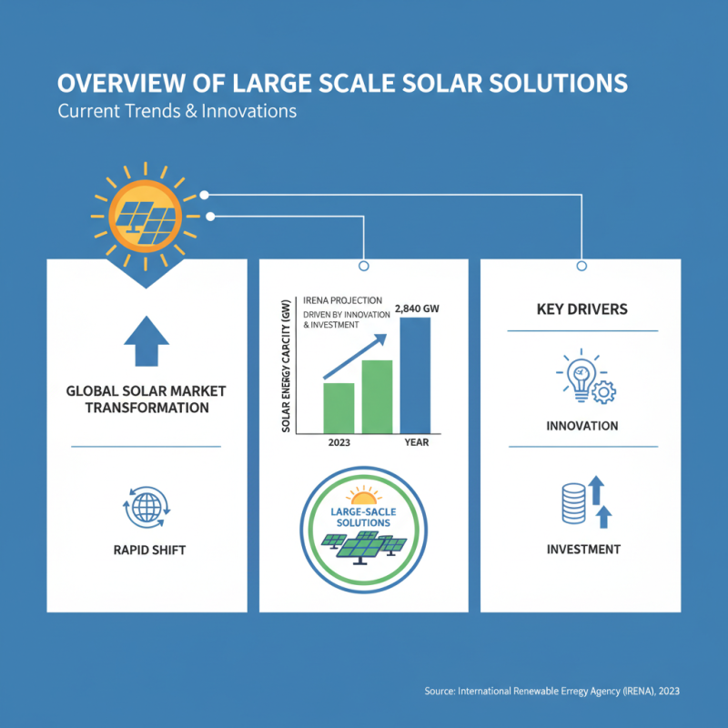 Best Large Scale Solar Solutions for Global Buyers?