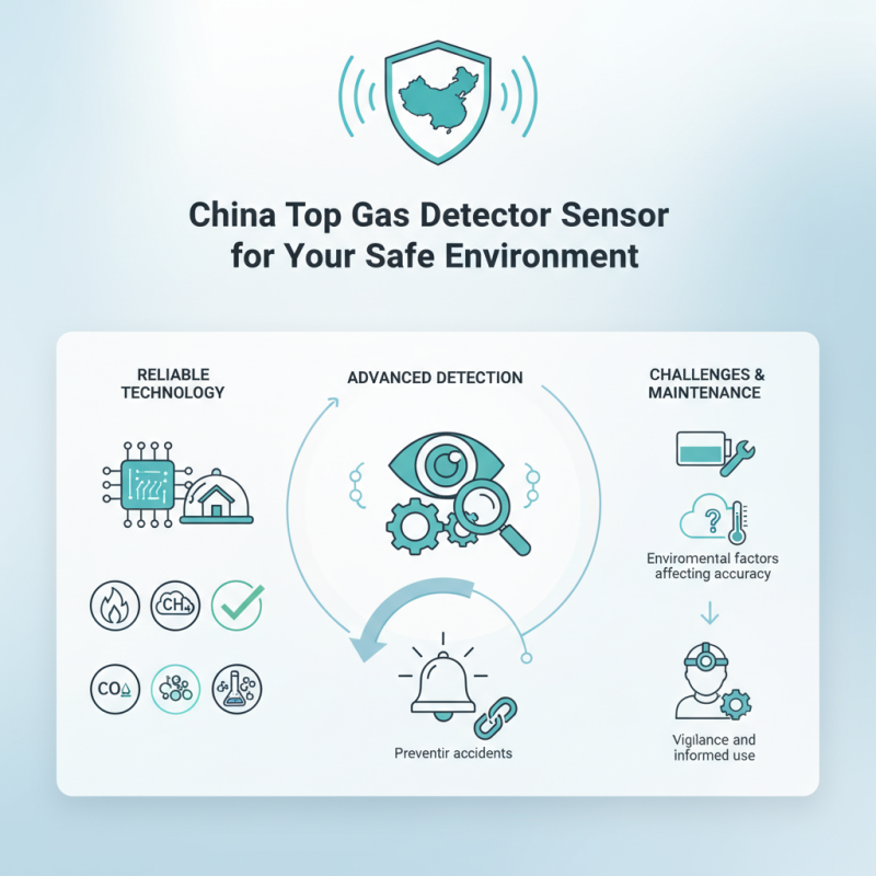 China Top Gas Detector Sensor for Your Safe Environment?