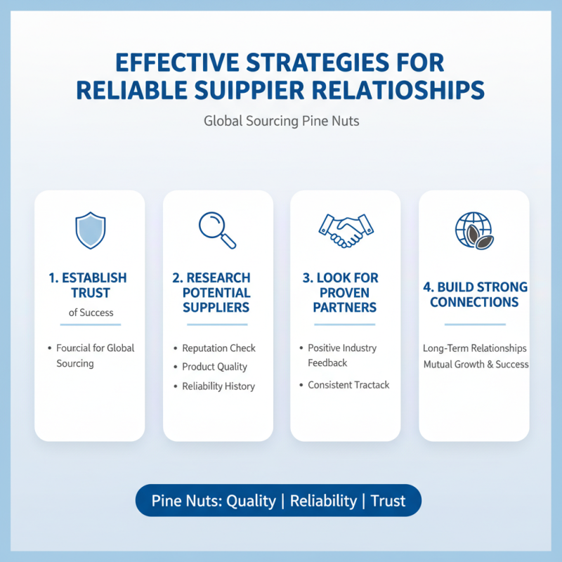 2026 How to Buy Pine Nuts for Global Sourcing Success?