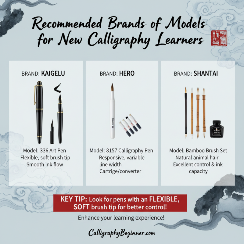 How to Choose the Best Chinese Calligraphy Pens for Beginners?