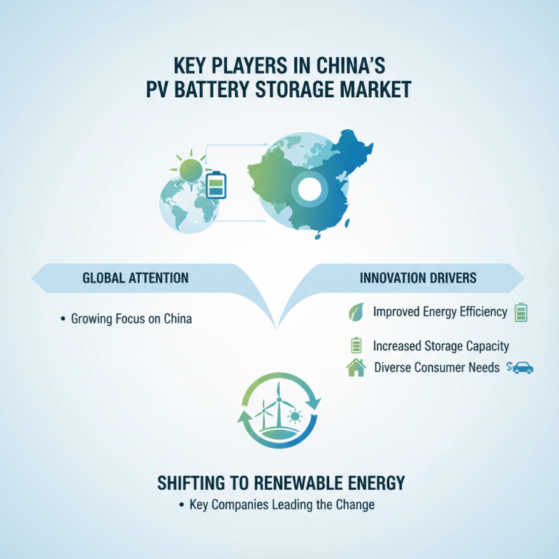 China Best Pv Battery Storage Solutions for Global Buyers?