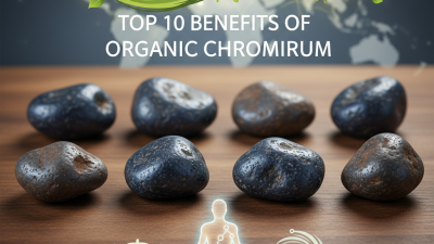 Top 10 Benefits of Organic Chromium for Global Buyers?