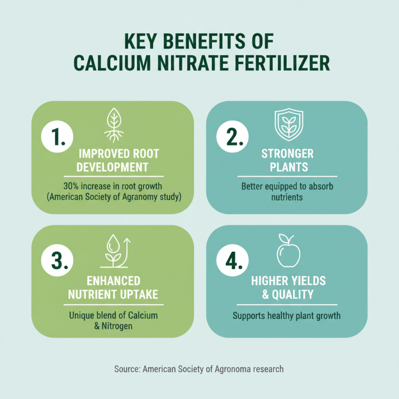 Why Choose Calcium Nitrate As Fertilizer For Your Plants?