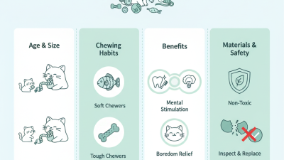 How to Choose the Best Cat Chew Toys for Your Feline Friend?