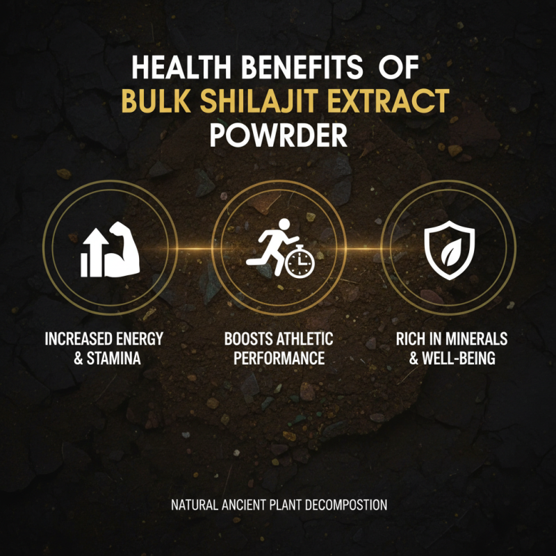 What is Bulk Shilajit Extract Powder Benefits and Uses?