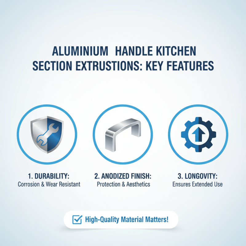 Top 10 Aluminium Handle Kitchen Section Extrusions You Need?