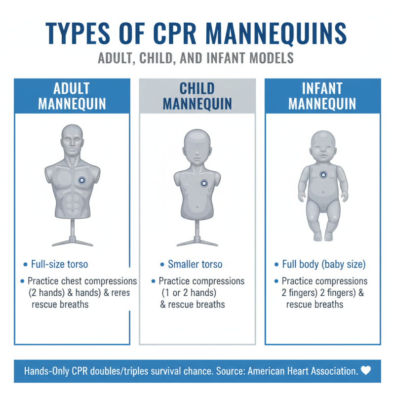 Best CPR Mannequins for Effective Lifesaving Training?