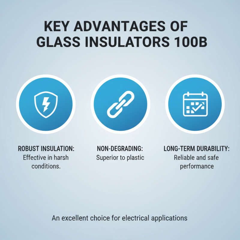 Why Choose Glass Insulator 100b for Your Electrical Needs?