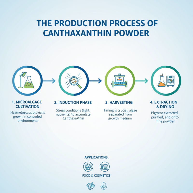 What is Canthaxanthin Powder and How to Choose Suppliers?