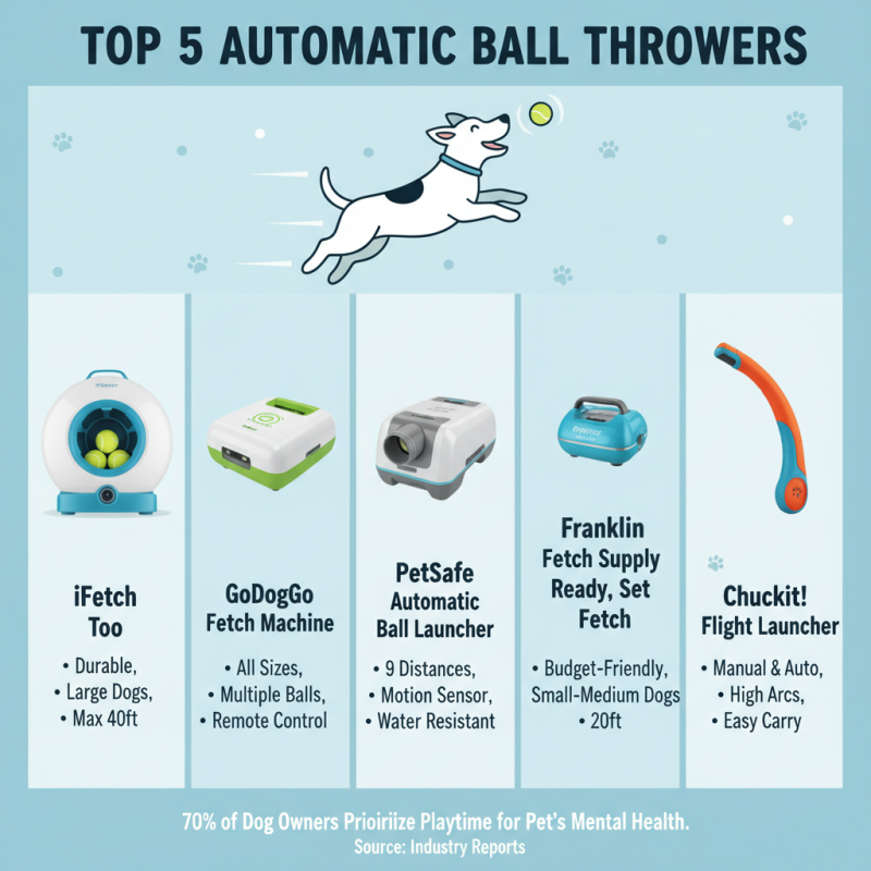 2026 Top Automatic Ball Thrower Models for Dog Owners and Trainers?