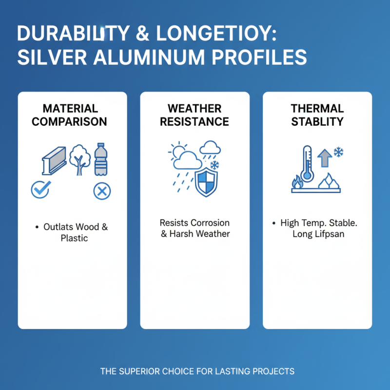 Why Choose Silver Aluminum Profile for Your Projects?