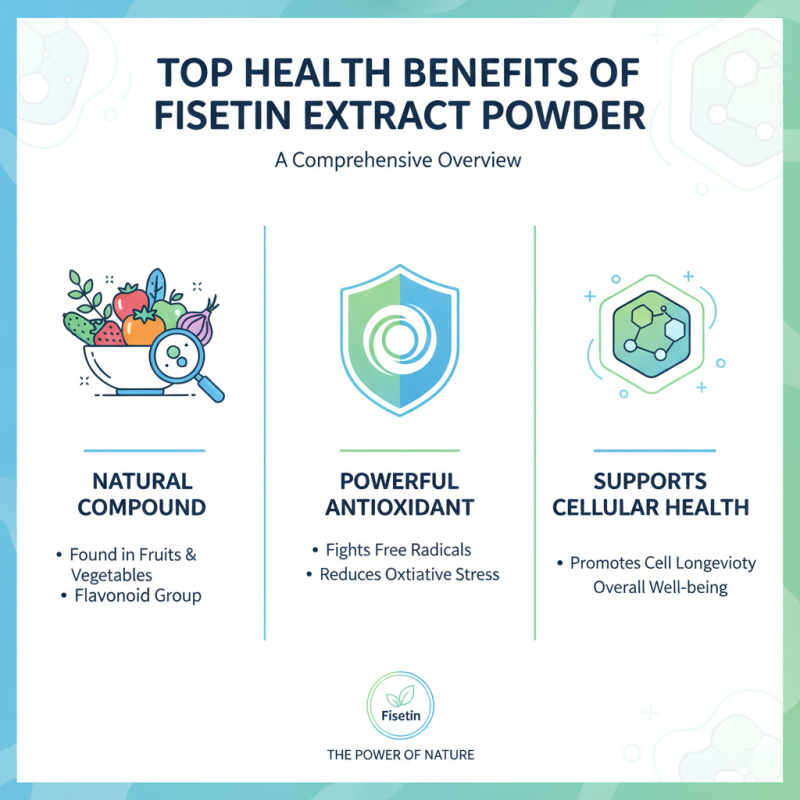 Top Benefits of Fisetin Extract Powder for Global Buyers?