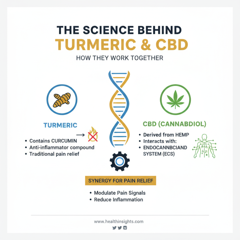 2026 Best Turmeric CBD Oil Benefits for Pain Relief?