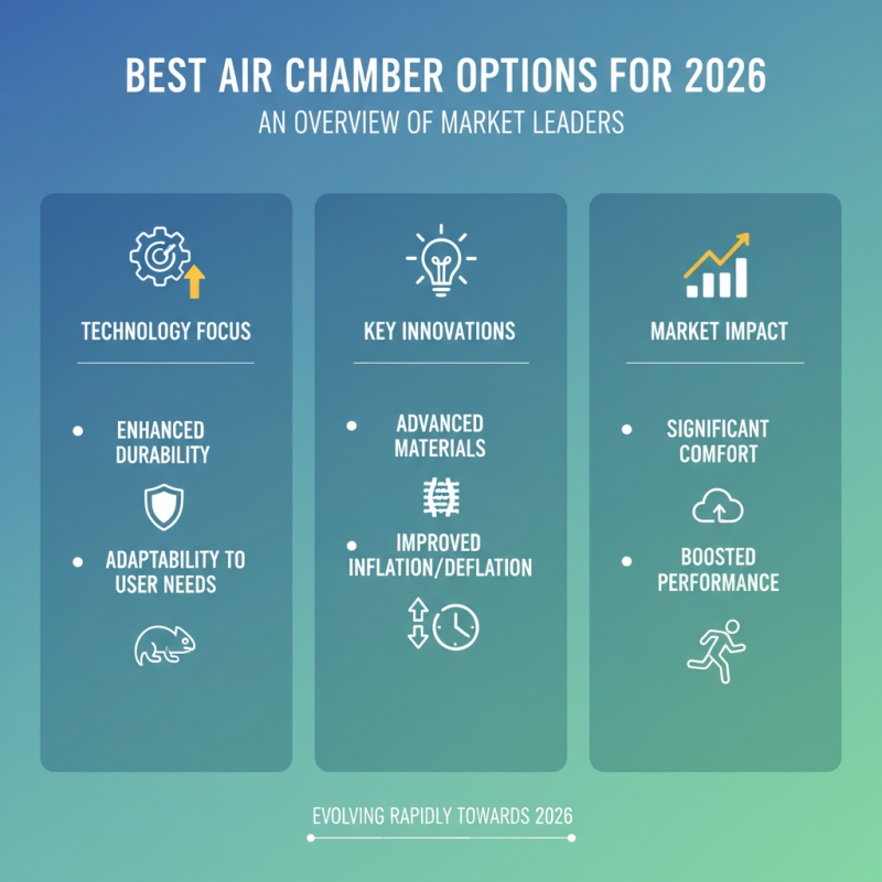 What Are the Best Air Chamber Options for 2026?