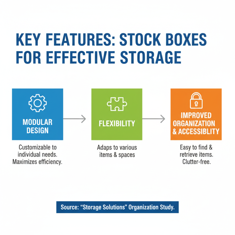 The Best Stock Boxes to Use in 2026 for Organizing and Storage?