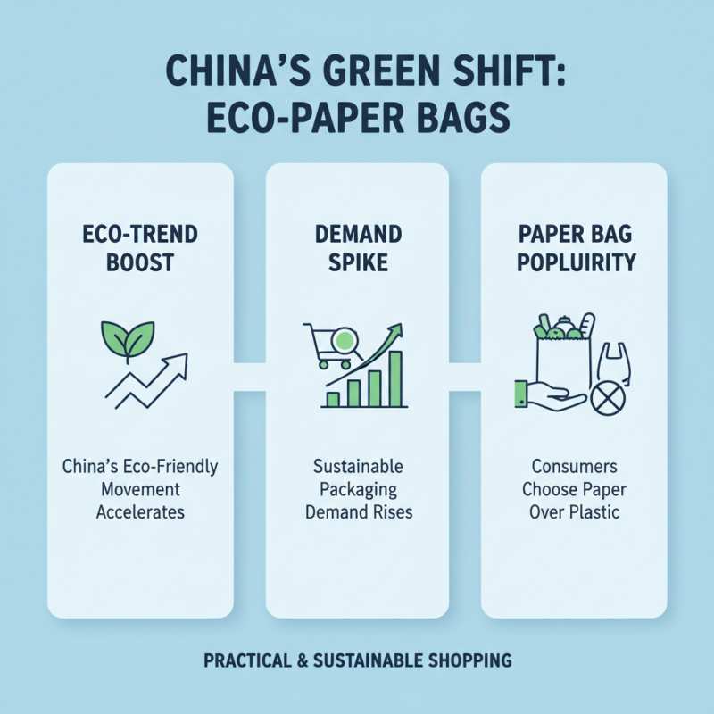 China Best Paper Grocery Bags for Eco Friendly Shopping Solutions?