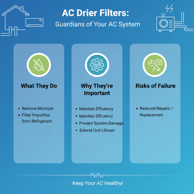 Top 10 Ac Drier Filter Options for Global Buyers?
