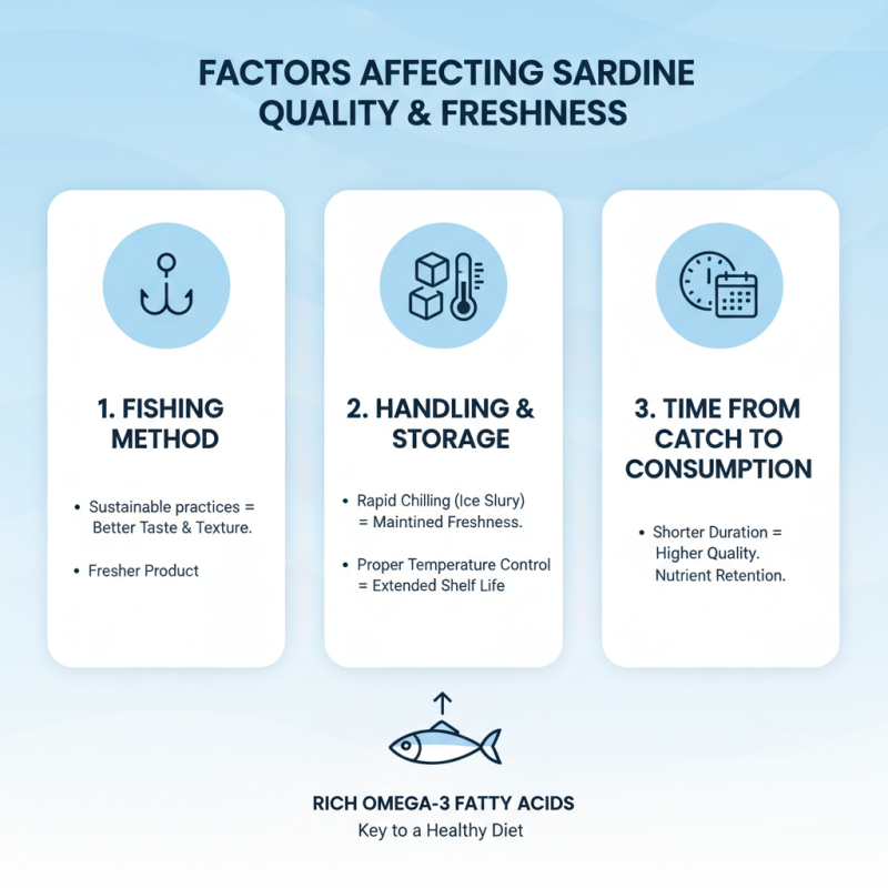 Where to Buy Sardines for the Best Quality and Price?