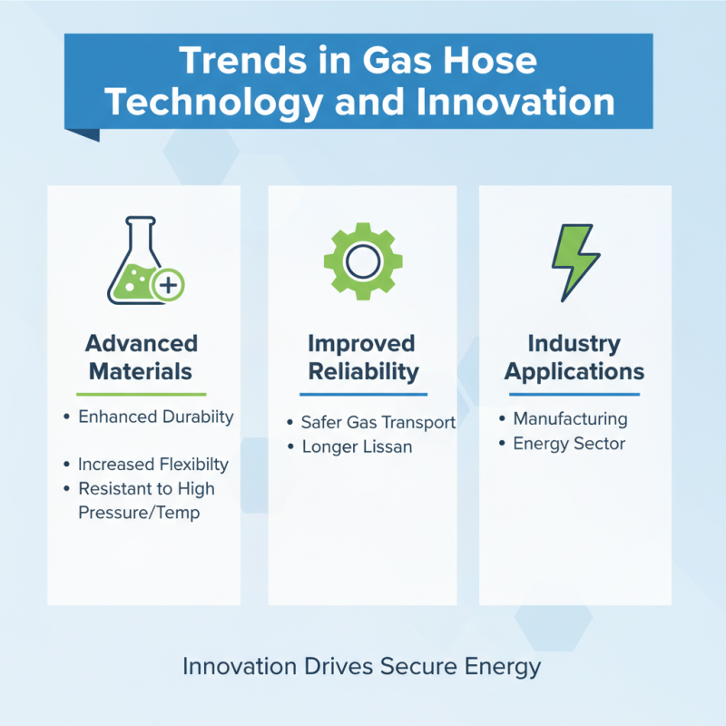 Top 10 Gas Hose Types for Efficient Global Procurement?