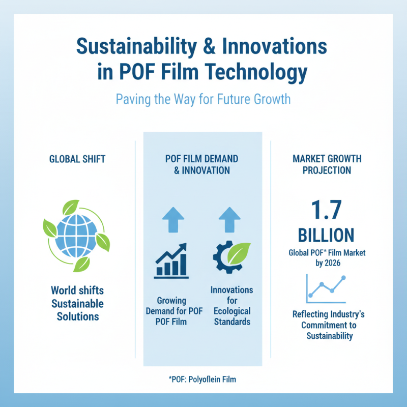 Best Heat Wrap POF Film for Global Buyers in 2026?