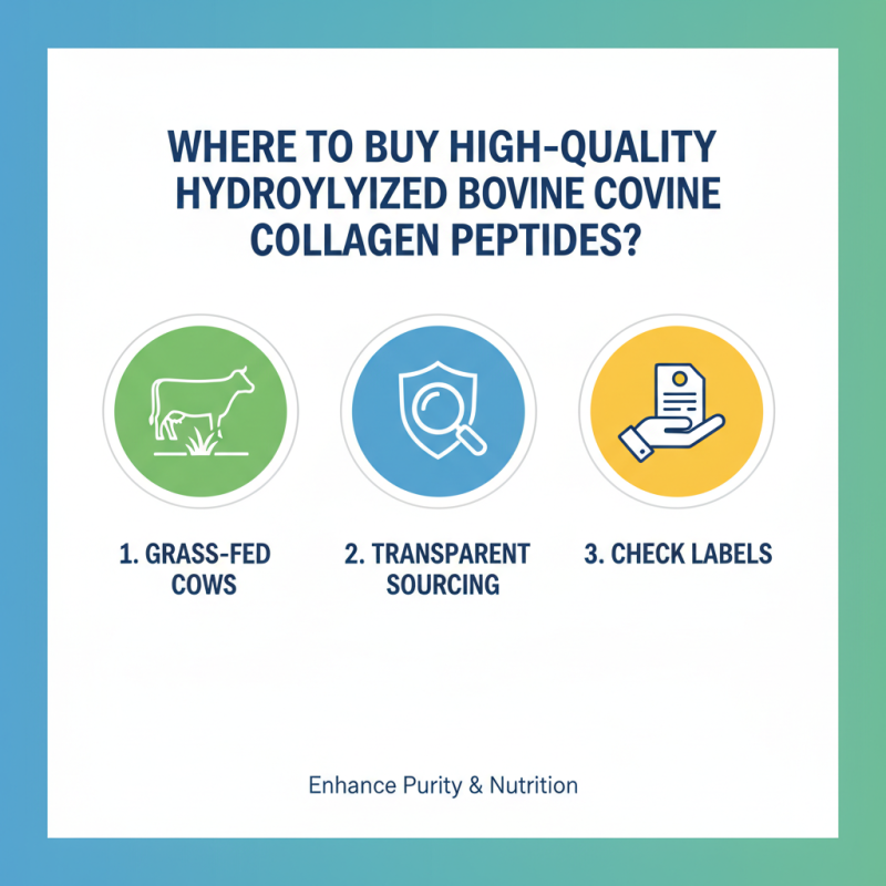 Where to Buy High Quality Hydrolyzed Bovine Collagen Peptides?