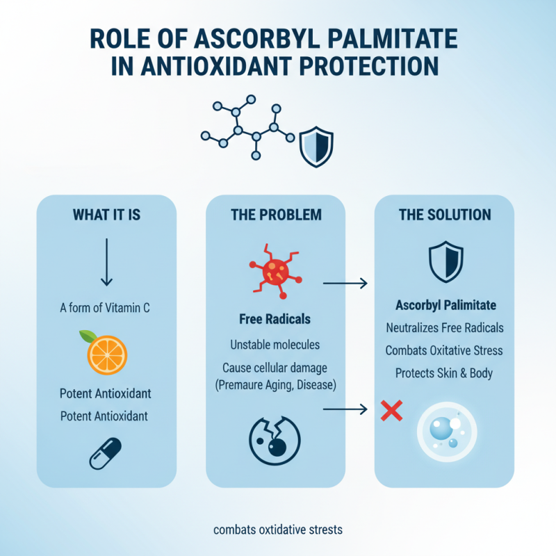 What is Ascorbyl Palmitate and its Benefits for Buyers?