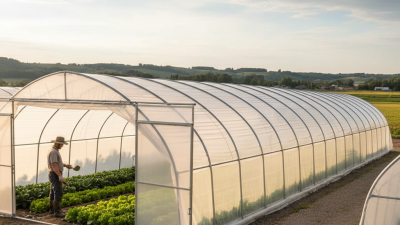 Best High Tunnel Greenhouse Kits for Global Buyers?
