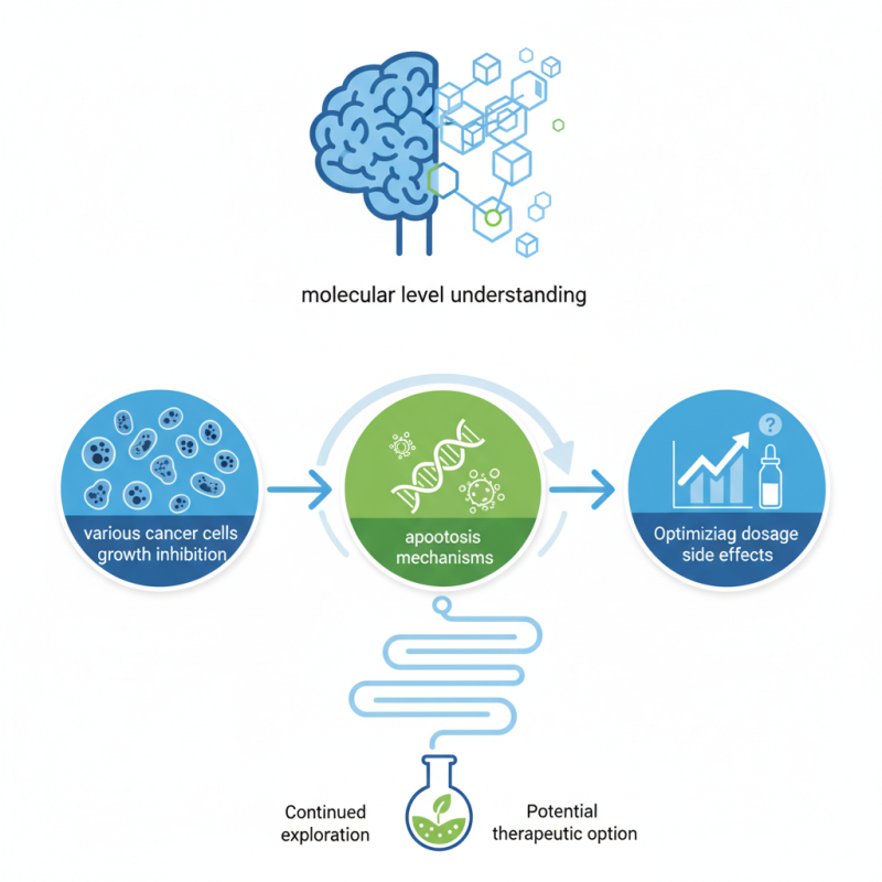 How Does Nitroxoline Inhibit Cancer Cells Effectively?