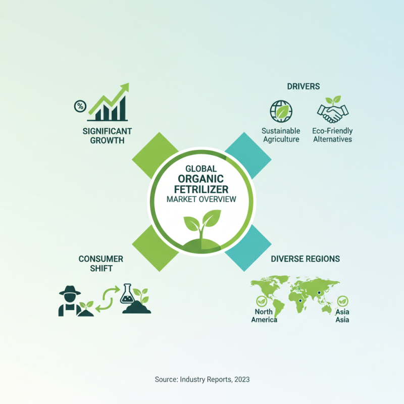 Top 10 Organic Fertilizer Companies for Global Buyers?
