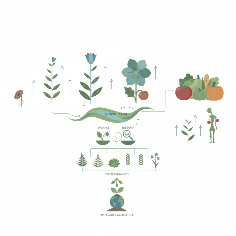 Gibberellic Acid Effect on Plants How Does It Influence Growth and Development?