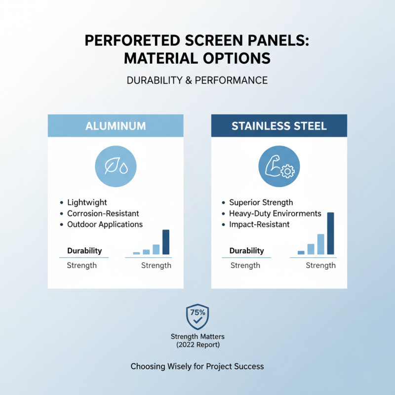 How to Choose the Best Perforated Screen Panels for Your Project?