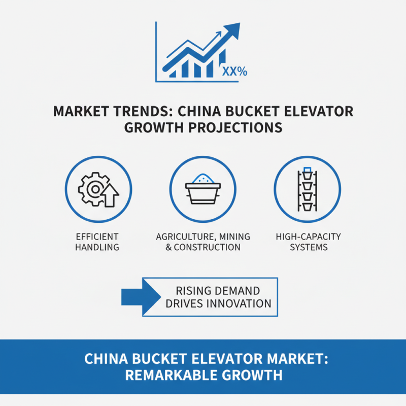 Top Bucket Elevator Suppliers in China for Global Buyers?