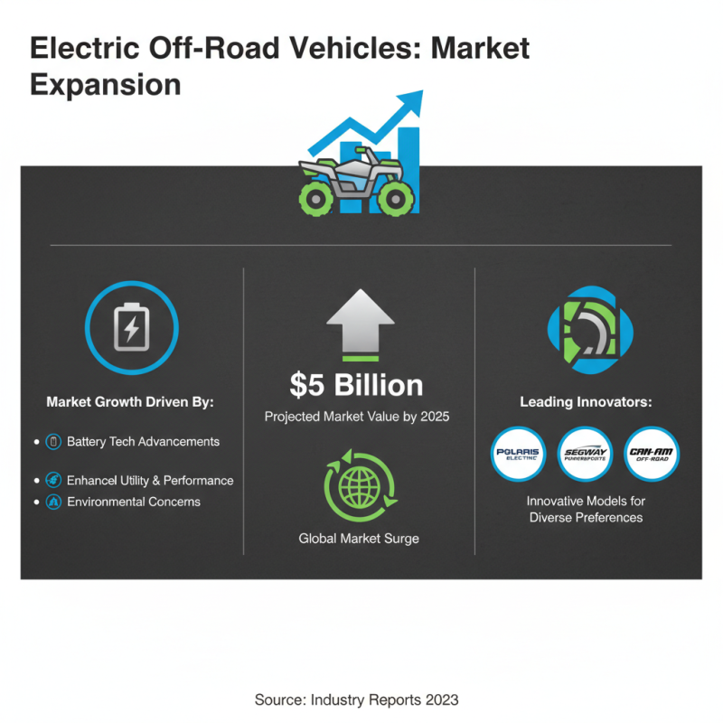 China Top Electric Off Road Car for Global Buyers?