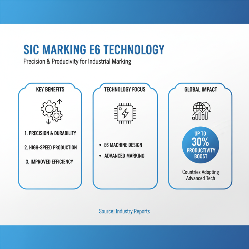 What is Sic Marking E6 and Its Benefits for Global Buyers?