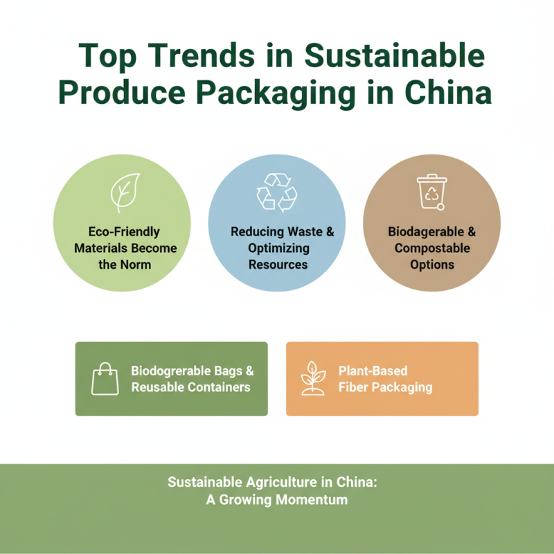 China Top 10 Produce Packaging Supplies for Sustainable Agriculture?