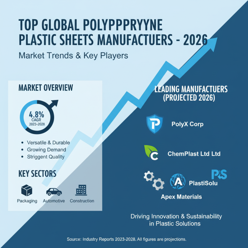 2026 Best Polypropylene Plastic Sheets for Global Buyers?