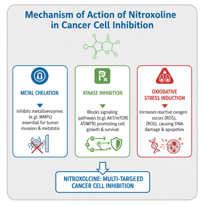 How Does Nitroxoline Inhibit Cancer Cells Effectively?